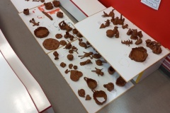 20251104_114107_resized