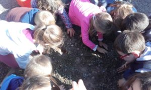 Carnaval de l'école