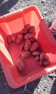 Carnaval de l'école